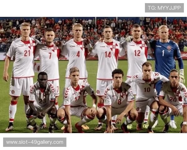 冰岛足球队现有球星介绍及其在国际赛场上的表现分析